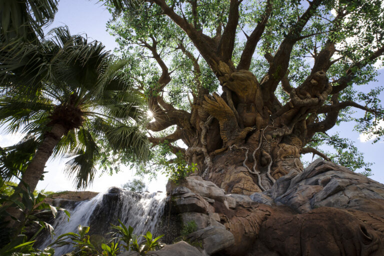 Animal Kingdom’s Top Attractions for Young Children